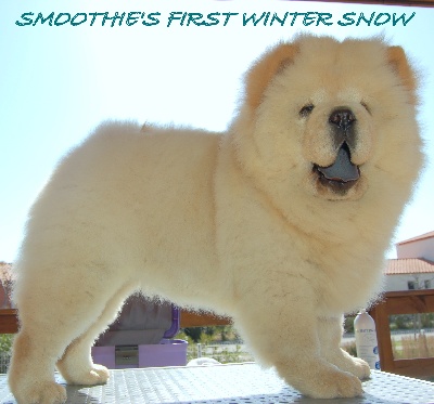 Smoothies - Smoothie's First Winter Snow 3 mois 1/2